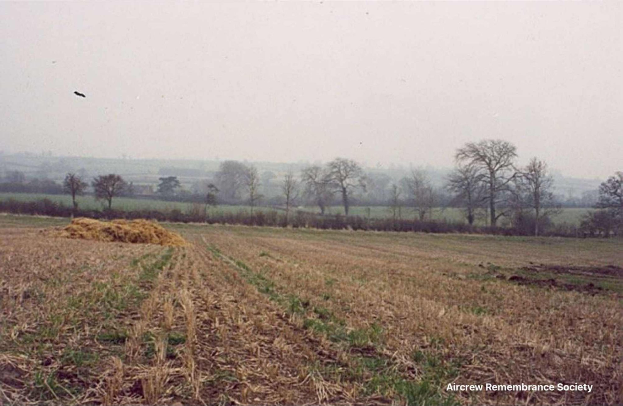 A view looking out from the crash site at High Furze pictured (Brownless)