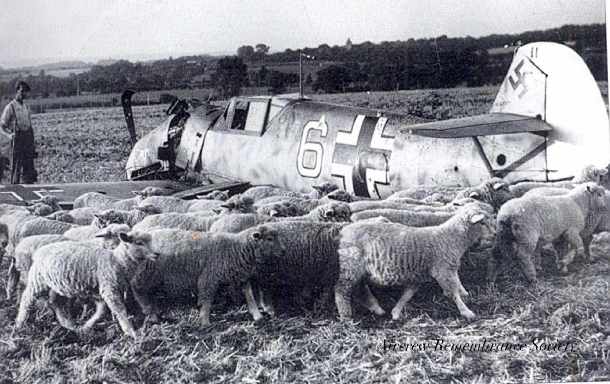 Messerschmitt Bf 109E-4 Werke/Nr.1985