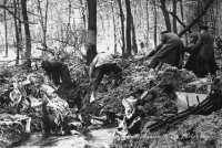 The aftermath of the terrific crash in Hartswood, January 1941 (Parker/Parry)