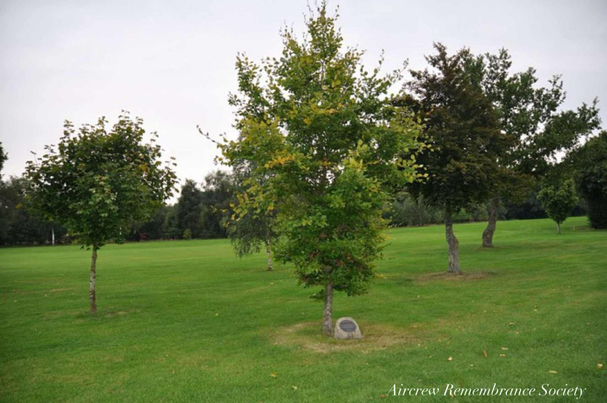 This tree and memorial mark the point of impact at the crash site.