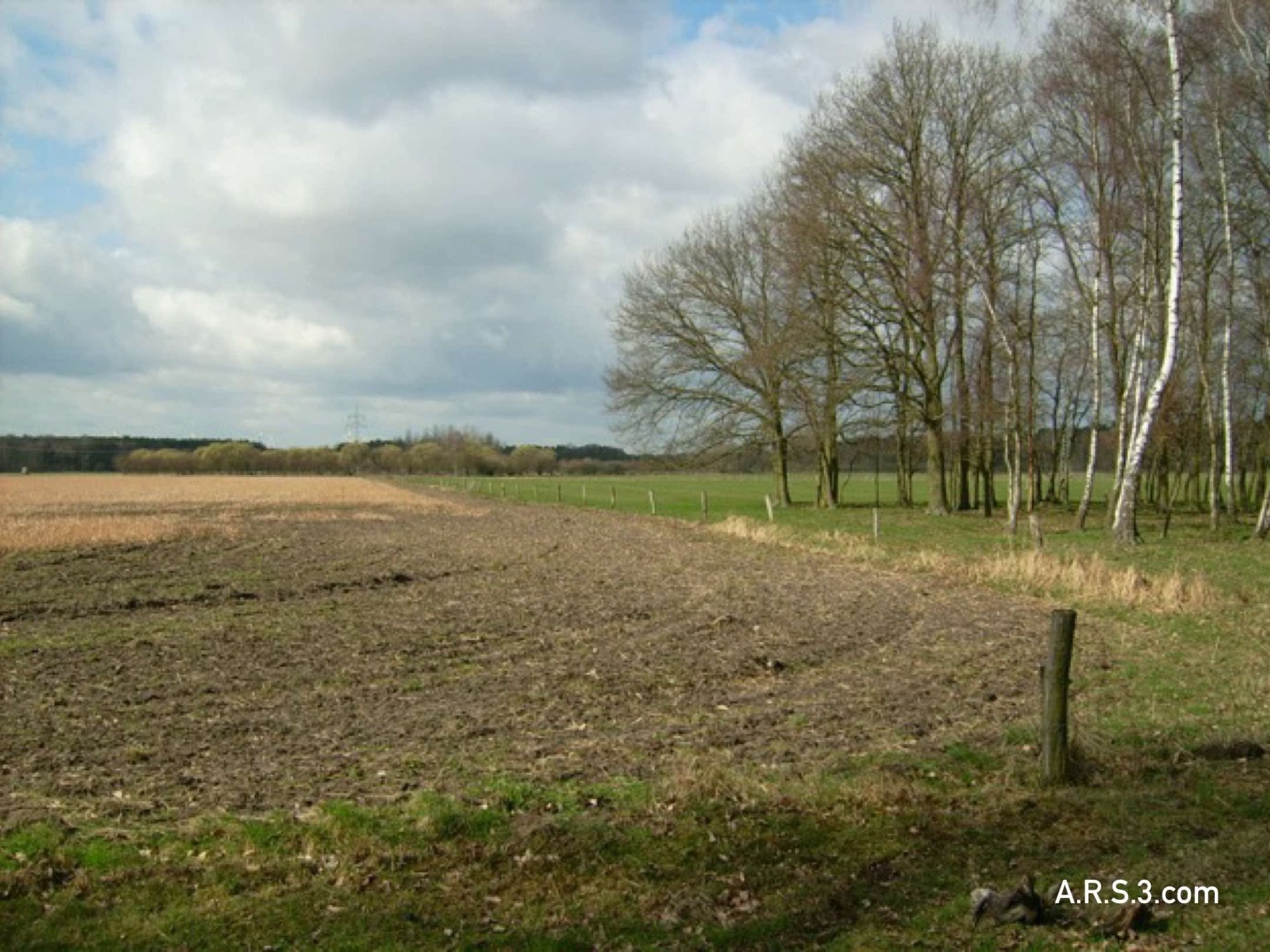 Crash site of “Johnny” Walker’s Halifax to the right of field in small wooded area. (Brownless)