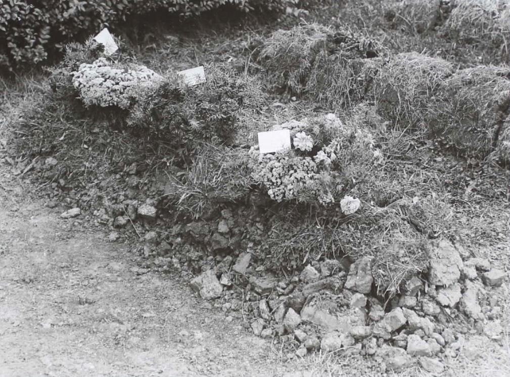 The grave of Sgt George Robert Phipps, photographed shortly after his burial in August 1942.