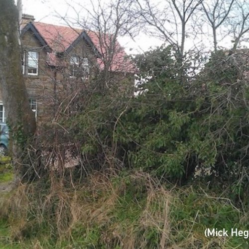 The same spot in February 2014, pictured by Aircrew Remembrance Society researcher Mick Hegney when he visited the location. (Hegney)