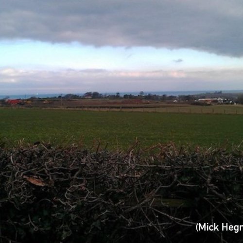 Mick kindly photographed the location in February 2014 (Hegney)