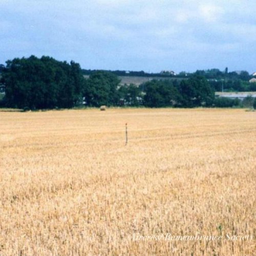 2003 Crash site location at Burgess Farm, near Whitstable, Kent (Brownless).