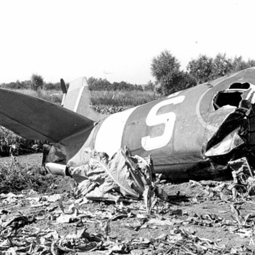 The smashed fuselage lies scattered in a cabbage field
