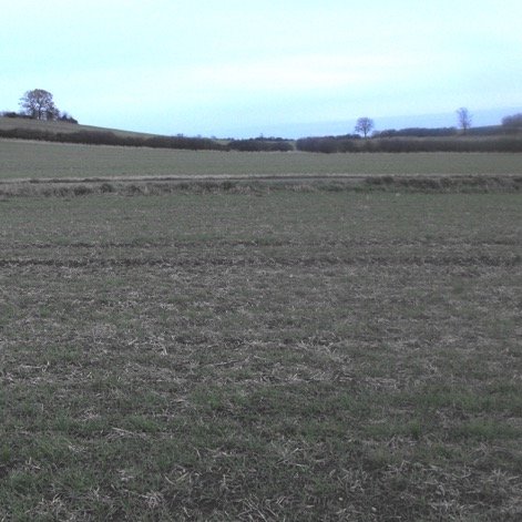 Photo taken from the general area of the crash site pictured in 2012 (Brownless)