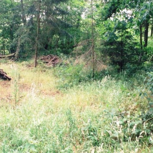 Overall view of the crash site of MM150, July 2003 (Brownless)