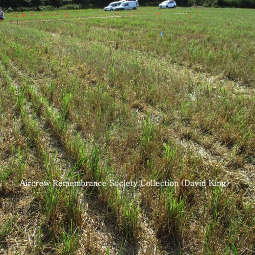 15 metre square grid marking on Friday 18th September over pre-determined search areas.
