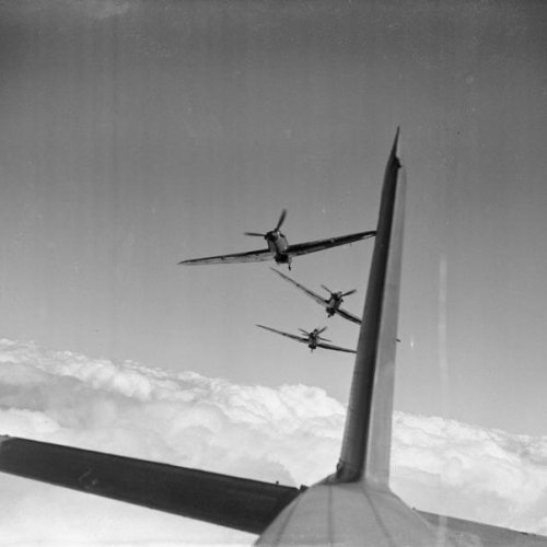 Hurricane Mark Is of No. 73 Squadron RAF, based at Rouvres, simulate an attack in line astern on the photographer's aircraft. I.W.M.