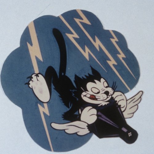 13th Photo Squadron 7th Photo group Insignia.